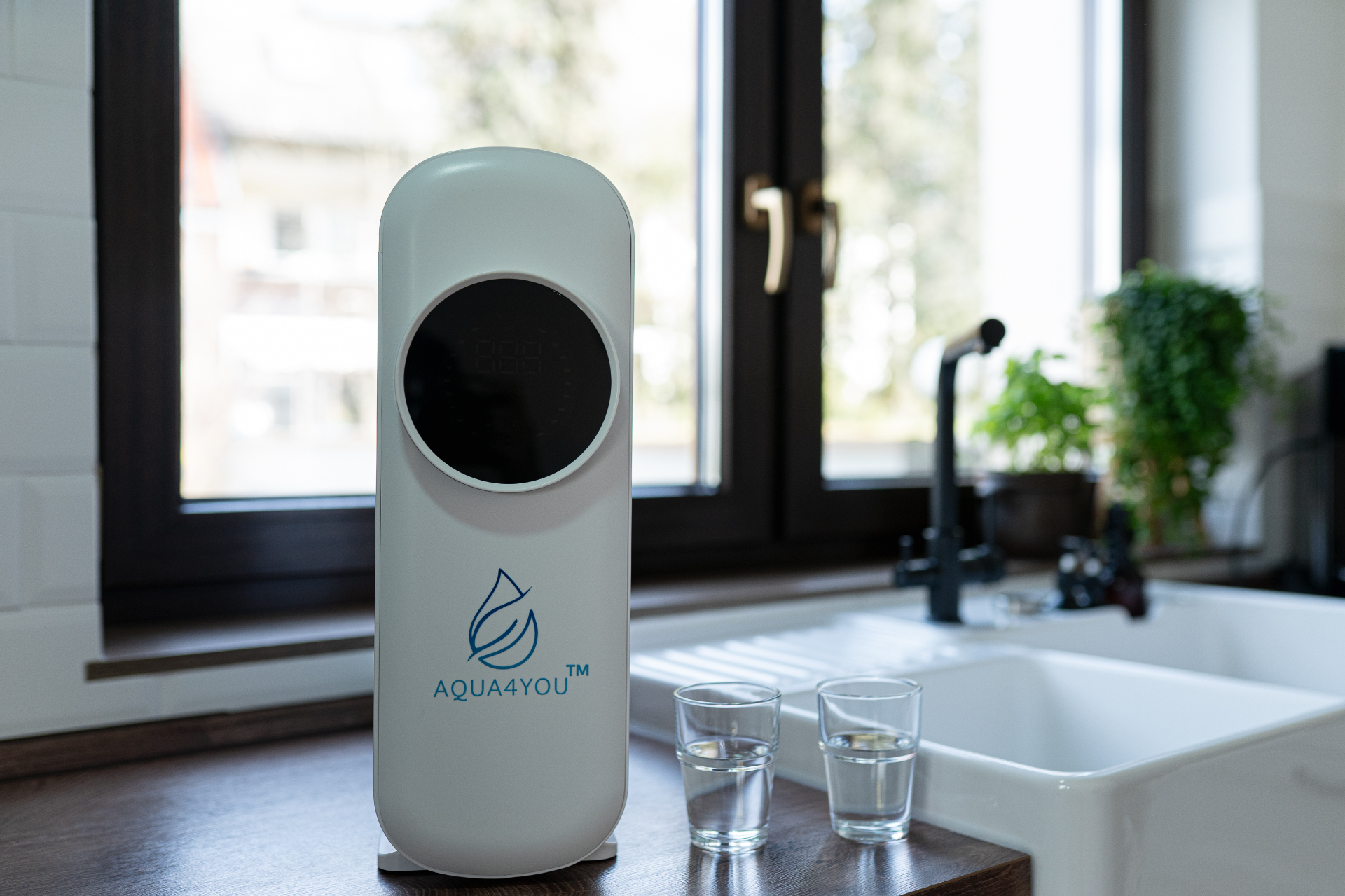 Aqua4You Galerie 2